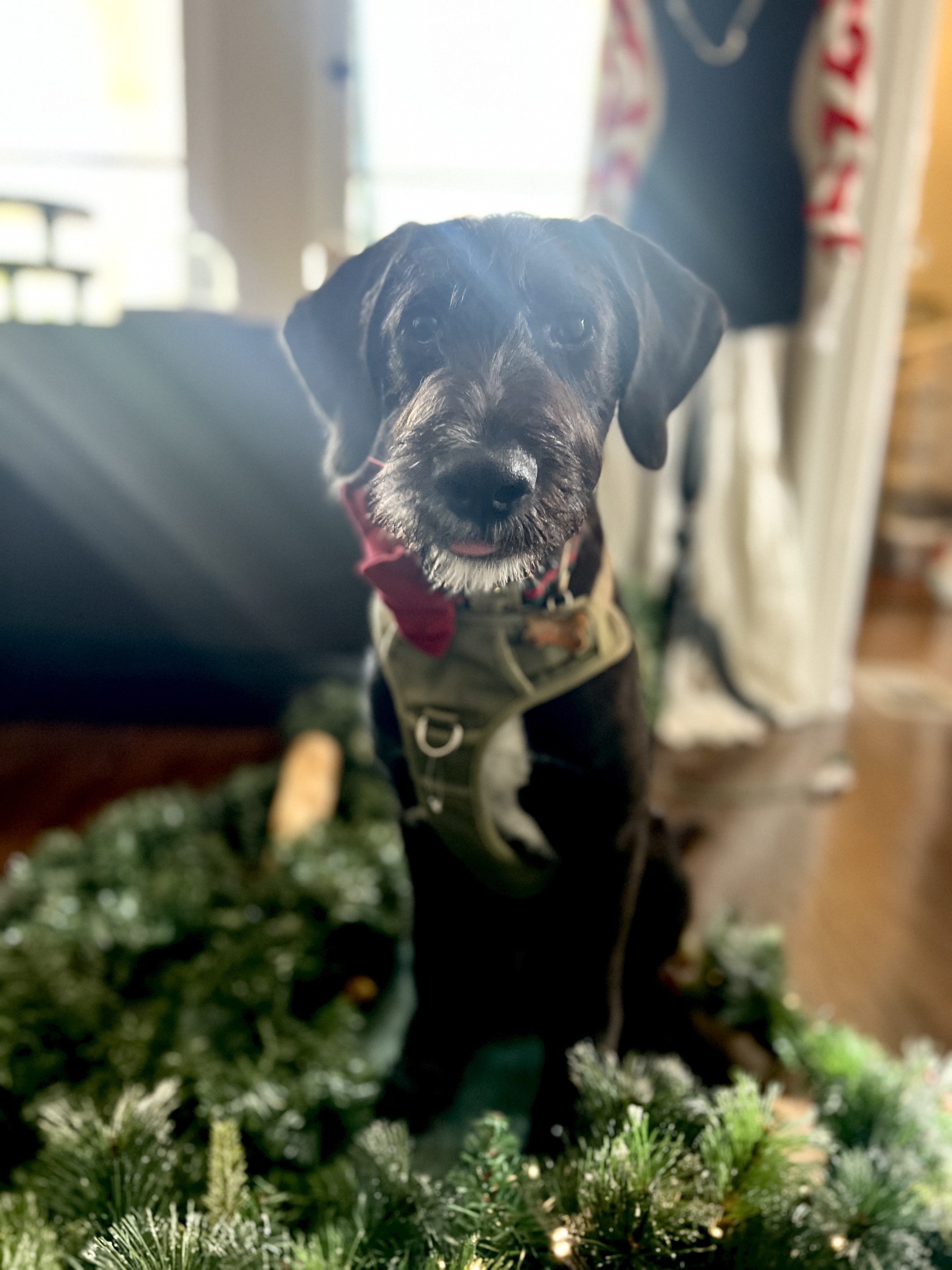 Wally